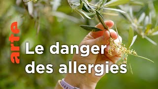 Un monde d'allergiques