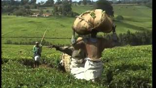 Cités & merveilles – Nairobi