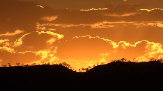 De Sun City au Kalahari - Carnets d'Afrique du sud