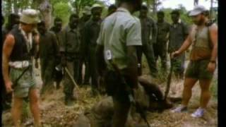 Découverte du Monde - Rhinocéros, une vie pour la corne
