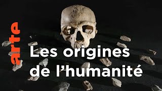 Homo sapiens, les nouvelles origines