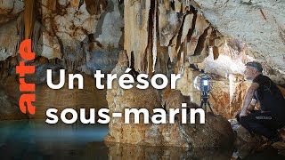 Documentaire La grotte Cosquer – Un chef-d’œuvre en sursis