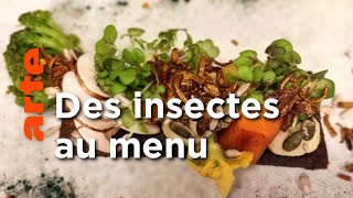 Documentaire La nouvelle cuisine française