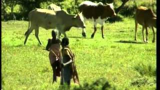 Voyages ... - ... au Kenya