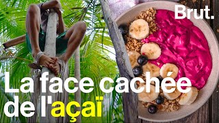 Ce qui se cache derrière votre bowl d’açaï