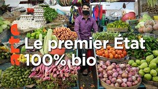 Documentaire Inde : Sikkim, l’expérience bio