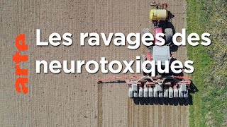 Insecticide - Comment l'agrochimie a tué les insectes