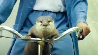 La légende de l’homme loutre