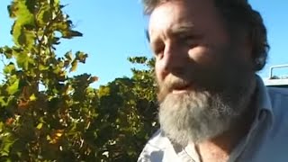 La route des vins en Australie Méridionale