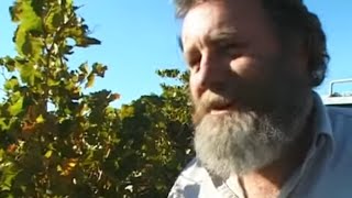 Documentaire La route des vins en Australie Méridionale