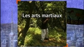 Les arts martiaux - Carnets de Chine