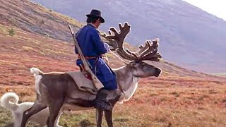 Les rennes sacrés de Mongolie
