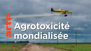 Documentaire Pesticides : l’hypocrisie européenne