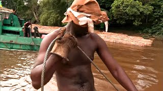 Documentaire Gabon : le bois maudit