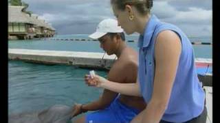 Histoires d'îles - Tahiti
