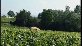 La France aux 1000 villages - Le Rhône