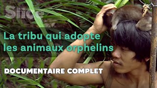 La tribu des Punan : les chasseurs en paix avec la nature