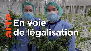 Documentaire Le cannabis pour tous en Allemagne ?