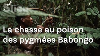 Le dernier refuge des pygmées Babongo