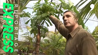 Documentaire Le jardin exotique