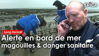 Magouilles et danger sanitaire : alerte en bord de mer