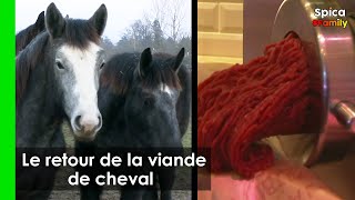 Le retour au galop de la viande de cheval !