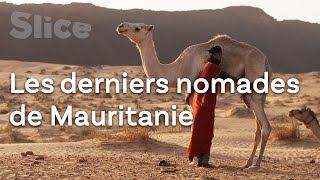 Documentaire Les derniers pasteurs nomades de l’Adrar