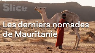 Les derniers pasteurs nomades de l’Adrar