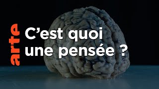 Quels sont les pouvoirs de la pensée ?