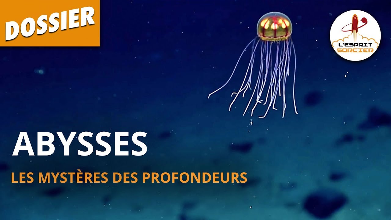 Abysses, les mystères des profondeurs