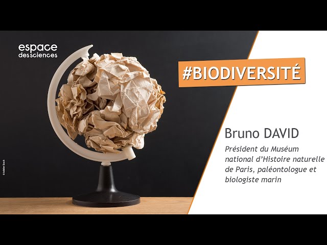 Documentaire Biodiversité : quelle importance !