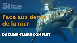 Défier le roi des Océans