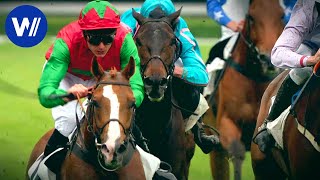 Gémix, le cheval pur sang génie de l'obstacle au parcours extraordinaire