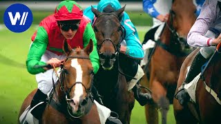 Documentaire Gémix, le cheval pur sang génie de l’obstacle au parcours extraordinaire