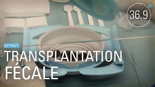Documentaire Les bienfaits de la transplantation fécale