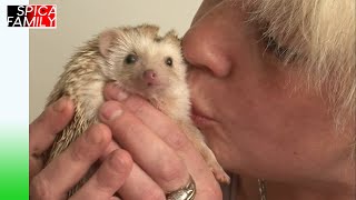 Mini-animaux : les stars de la maison !