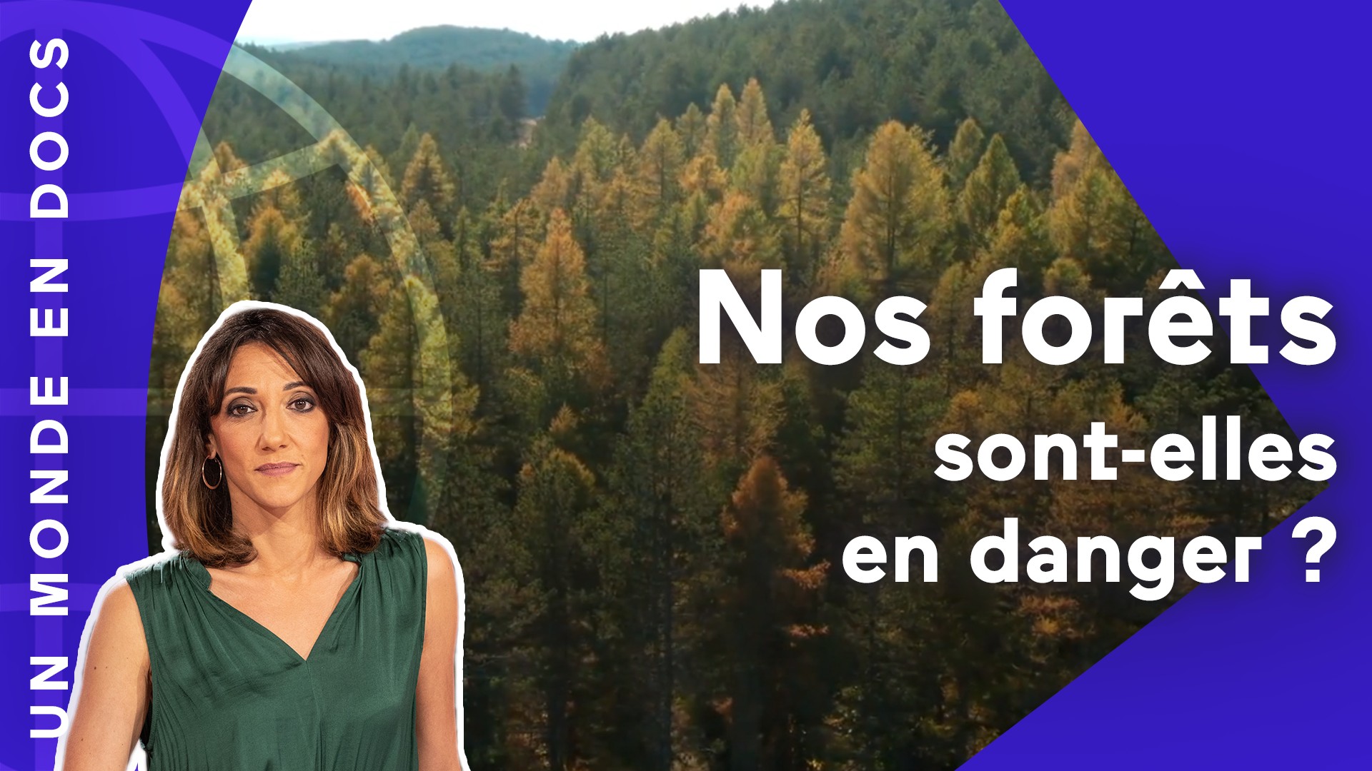 Documentaire Nos forêts sont-elles en danger ?