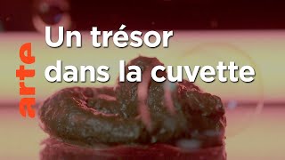 Pouvons-nous transformer nos étrons en or ?