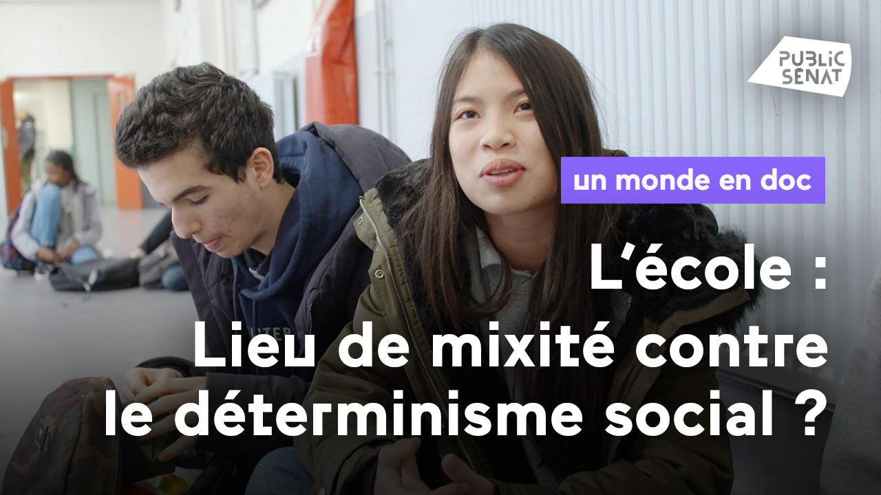 Documentaire L’école : un lieu de mixité pour lutter contre le déterminisme social ?