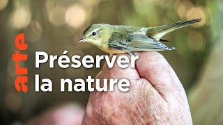 Documentaire Bonnes nouvelles de la planète