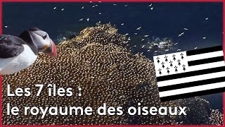Bretagne : l'archipel des 7 îles