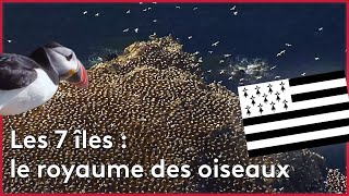 Documentaire Bretagne : l’archipel des 7 îles