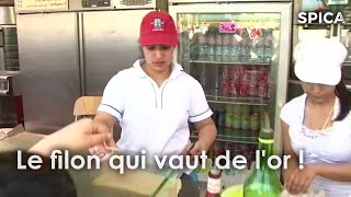 Bretagne : le filon qui vaut de l’or !