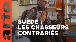 Documentaire Chasse en Laponie : les Samis face à l’État suédois