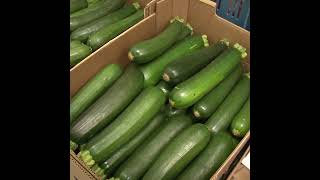 Documentaire Comment se régaler avec les courgettes