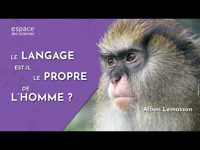 Documentaire Le langage est-il le propre de l’Homme ?