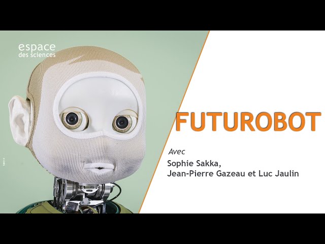 Autour de la recherche en robotique