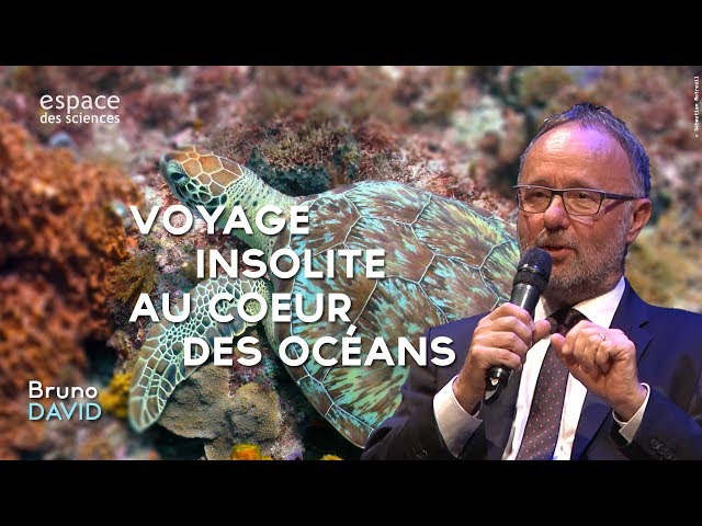 Voyage insolite au cœur des océans