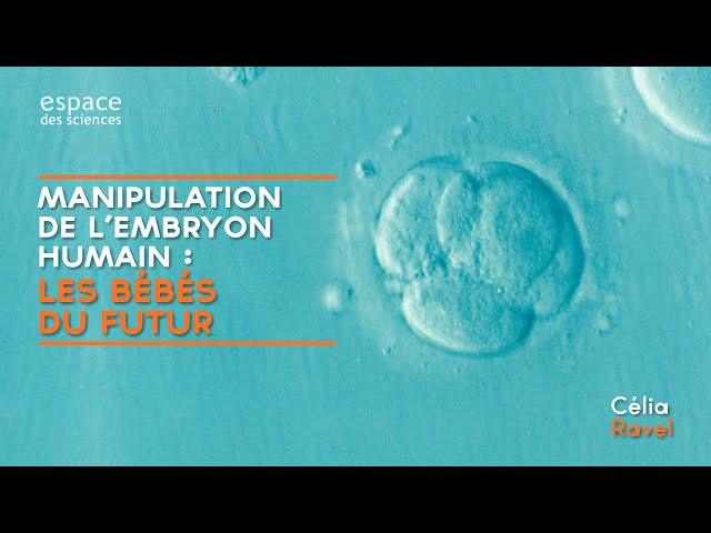 Documentaire Manipulation de l’embryon humain : les bébés du futur