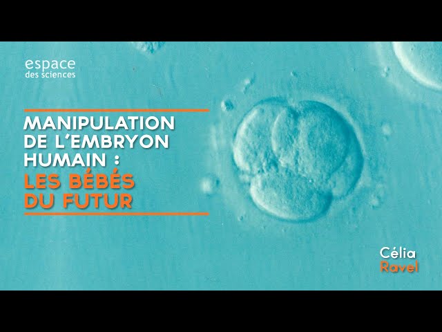 Manipulation de l’embryon humain : les bébés du futur